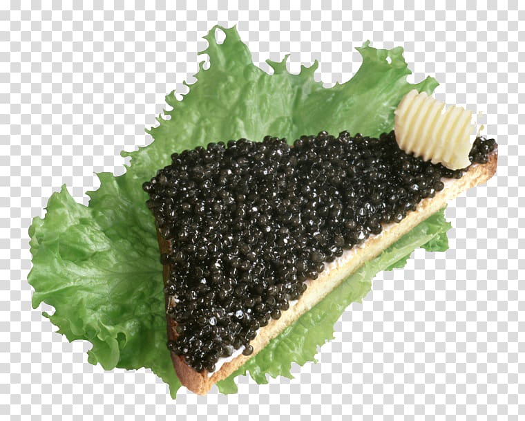 Beluga caviar Butterbrot Russian cuisine Roe, Caviar Bread transparent background PNG clipart