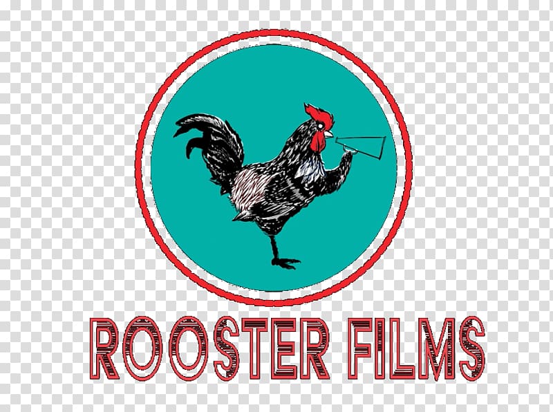 Rooster Chicken Film Bird Phasianidae, rooster transparent background PNG clipart