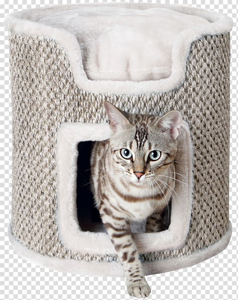 Cat tree Scratching post Cat Food Felidae, Cat transparent background PNG clipart