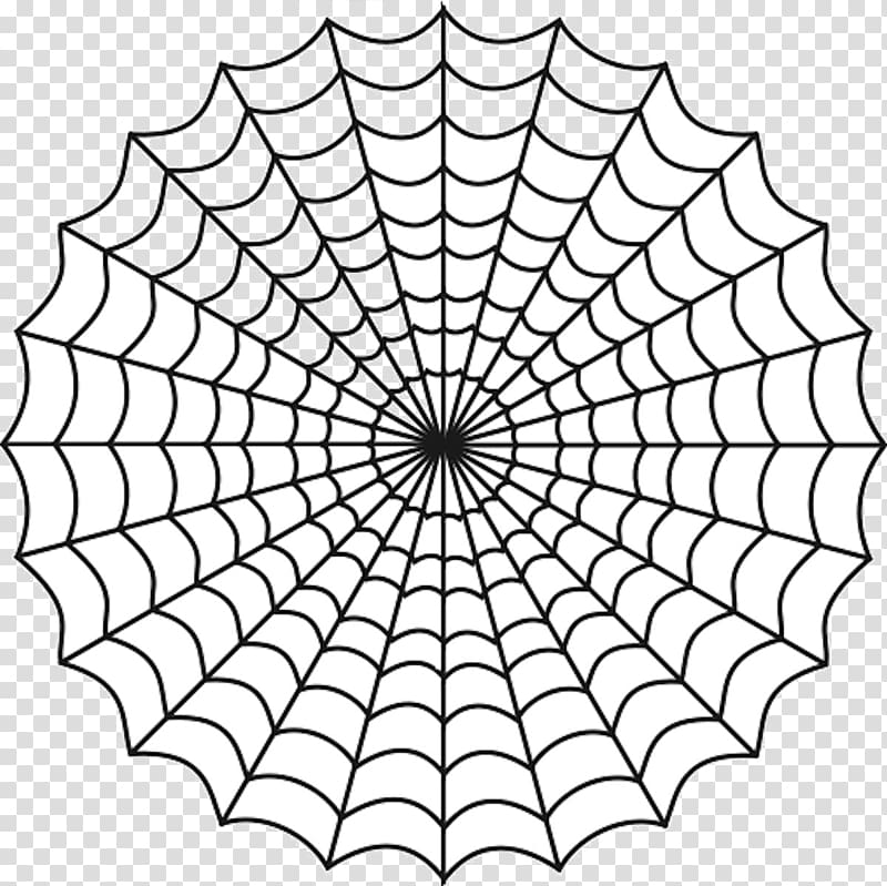 Spider web , Şener Şen transparent background PNG clipart