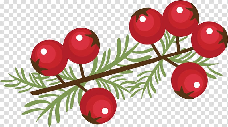 Christmas Berry Gift , christmas transparent background PNG clipart