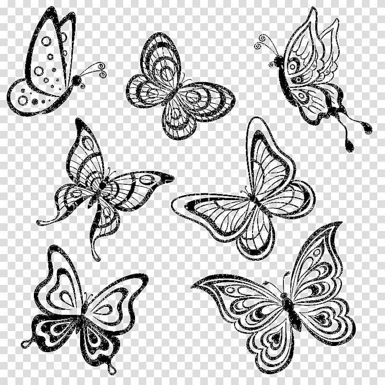 Butterfly Drawing Monochrome , butterfly transparent background PNG clipart