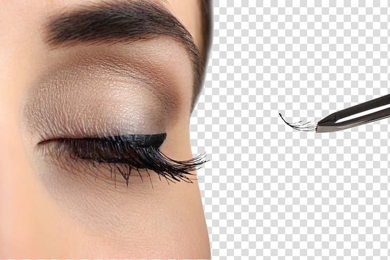 Eyelash extensions Comb Cosmetics Hair, Long eyelashes beauty transparent background PNG clipart