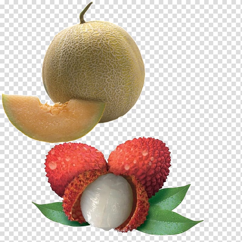 Lychee Fruit Auglis Food, Lychee physical map transparent background PNG clipart