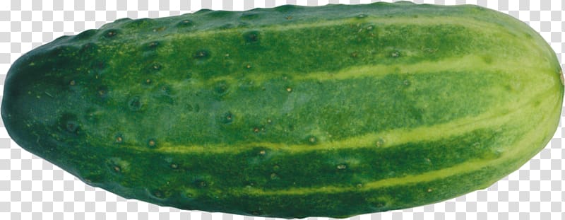 Pickled cucumber Muskmelon , cucumber transparent background PNG clipart