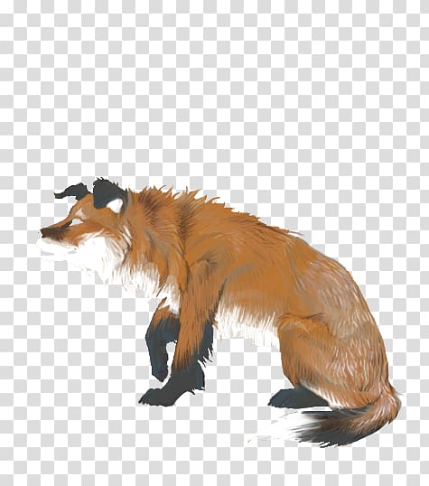 Red fox Australian Shepherd Fur Dog agility, fox transparent background PNG clipart
