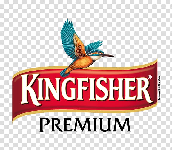 Kingfisher Airlines Locations in India Map