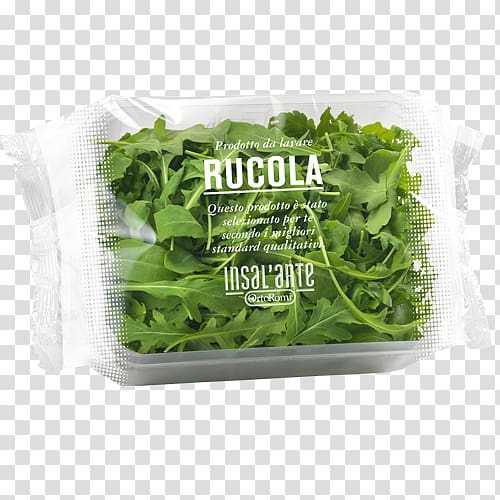 Romaine lettuce Carpaccio Vegetarian cuisine Arugula Herb, salad transparent background PNG clipart