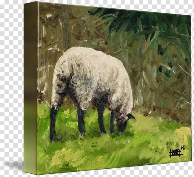 Sheep Cattle Goat Grazing Live, grazing transparent background PNG clipart