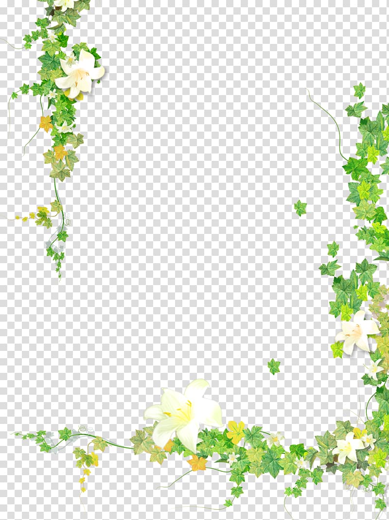 Leaf Plant Flower Vine, Summer fresh hand painted plant borders, white and green floral frame transparent background PNG clipart
