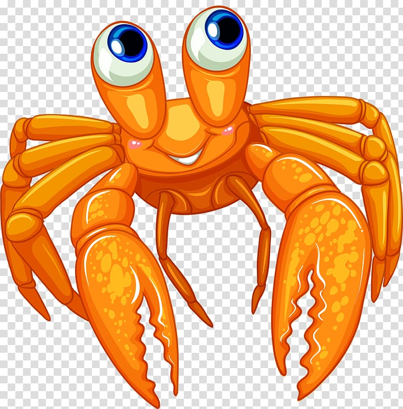 Transparent Hermit Crab Cartoon