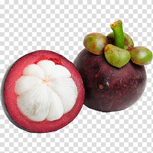 Purple mangosteen Thai cuisine Tropical fruit Indonesian cuisine, others transparent background PNG clipart