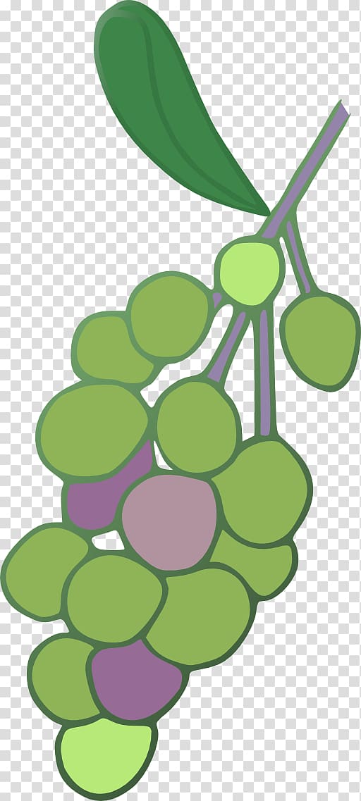 Common Grape Vine Concord grape Grape leaves , grape transparent background PNG clipart