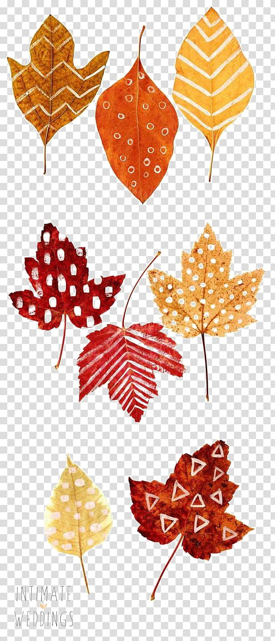 Thanksgiving Autumn leaf color Place card Drawing, Autumn leaves transparent background PNG clipart