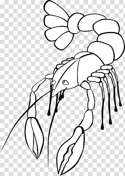 Free content Crayfish , Shellfish transparent background PNG clipart