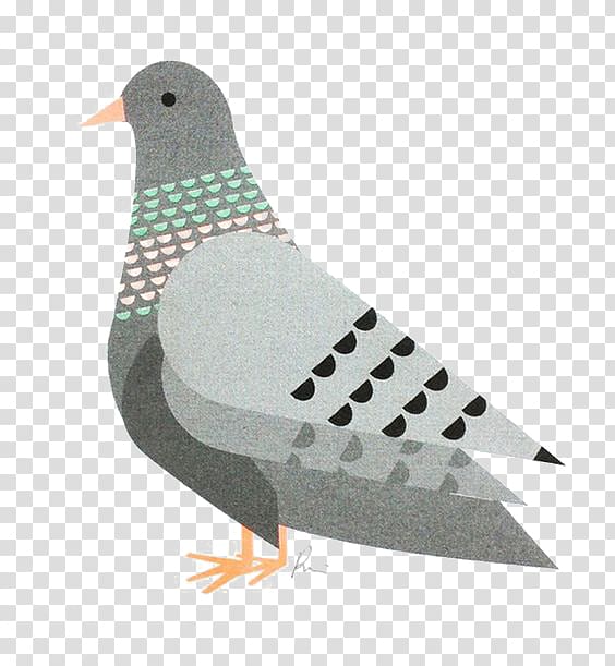 Domestic pigeon Columbidae Bird Fancy pigeon Printing, Gray pigeon transparent background PNG clipart