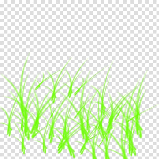 Sweet Grass Green Line Aquarium, line transparent background PNG clipart