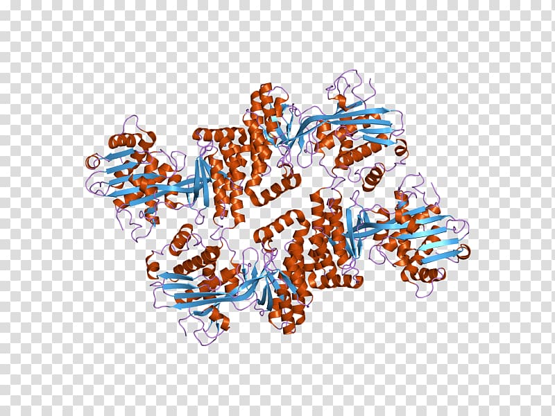 Mevalonate kinase Mevalonate pathway Mevalonic acid Protein, others transparent background PNG clipart