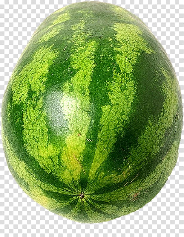 Watermelon Muskmelon Desktop Fruit , watermelon transparent background PNG clipart