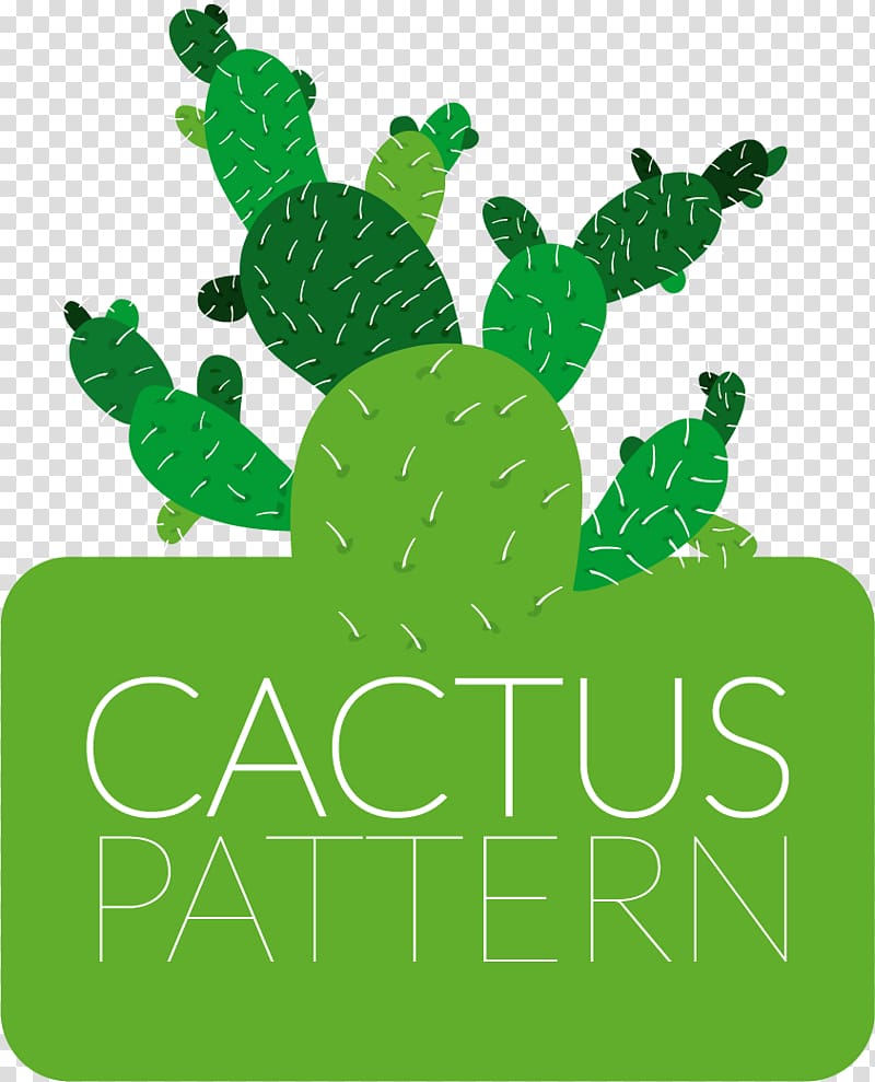 Cactus Flowers Drawing Cactaceae , green cactus transparent background PNG clipart