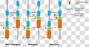 Line Technology Angle, line transparent background PNG clipart thumbnail