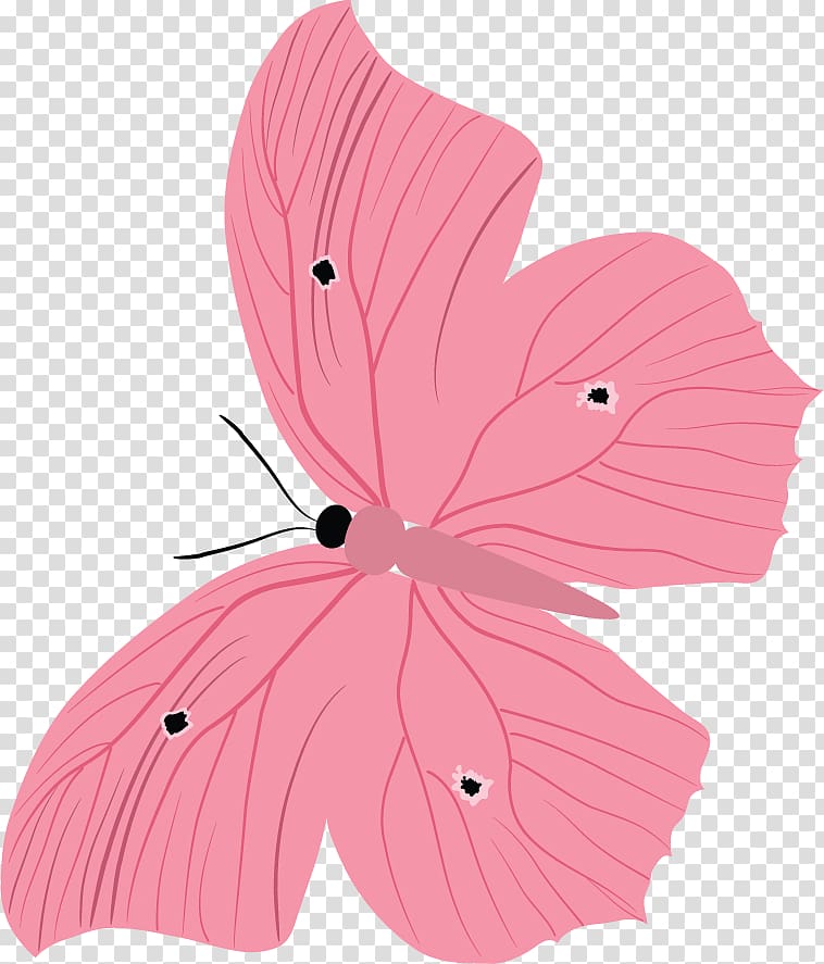 Butterfly Petal Malvales, butterfly transparent background PNG clipart