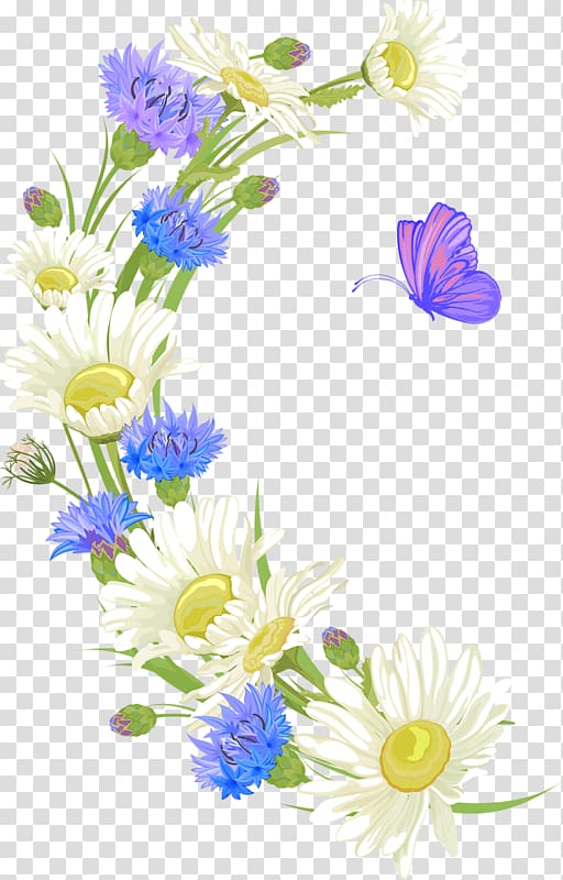 Cut flowers Floral design Flower bouquet Oxeye daisy, flower transparent background PNG clipart