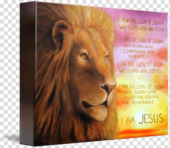 Lion of Judah Bible Kingdom of Judah Book of Revelation, Lion of Judah transparent background PNG clipart