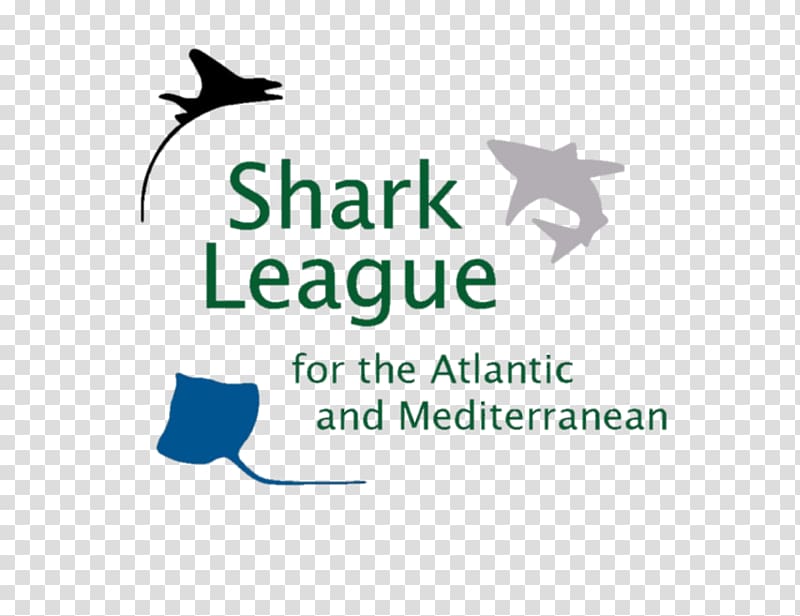 Shark Trust Fish Isurus oxyrinchus Project AWARE, shark transparent background PNG clipart