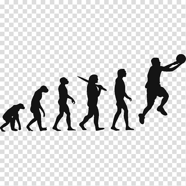 T-shirt Human evolution Homo sapiens Biology, basketball player transparent background PNG clipart