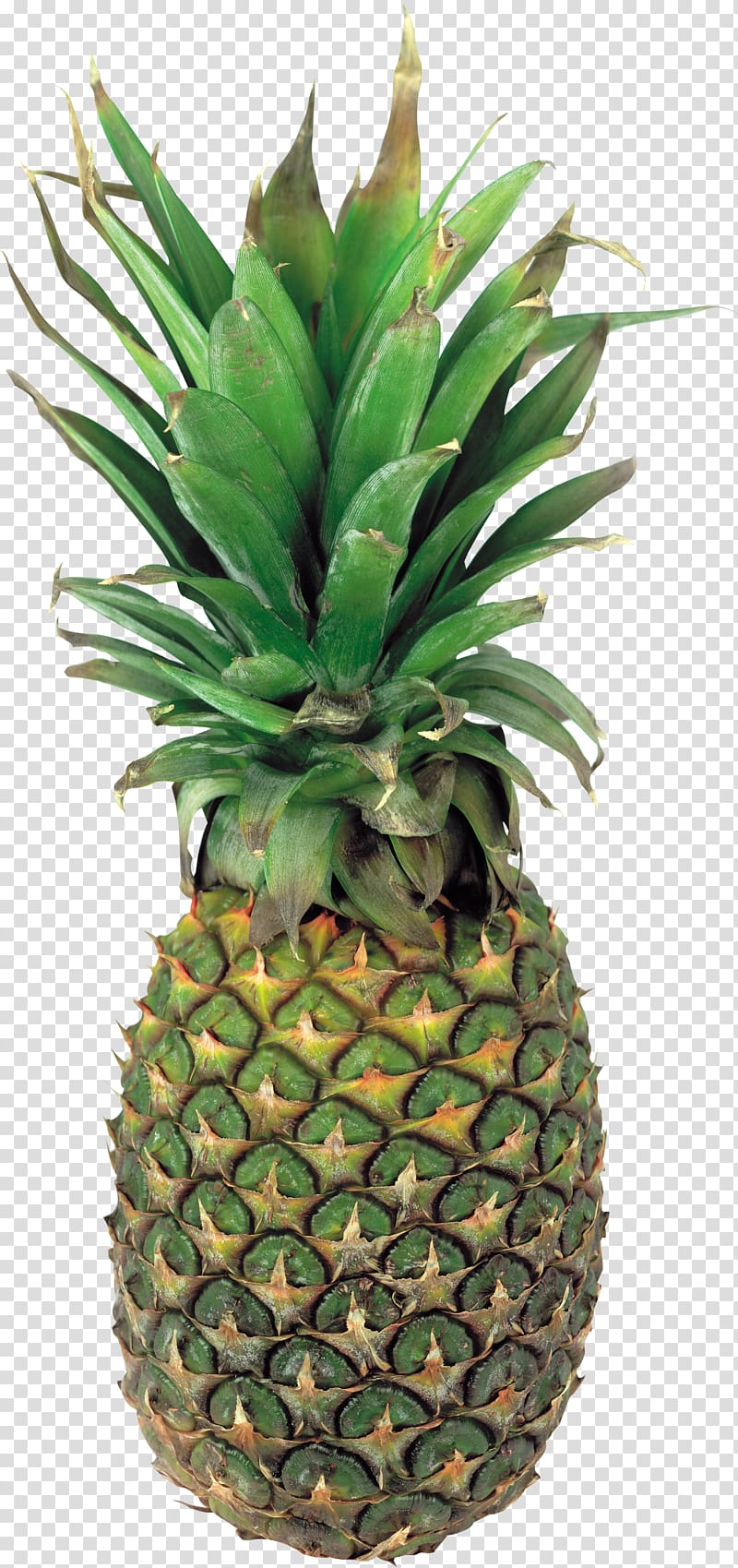 Pineapple transparent background PNG clipart