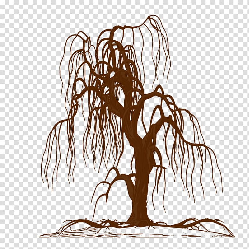 Wall decal Weeping willow Tree Drawing Silhouette, tree transparent background PNG clipart