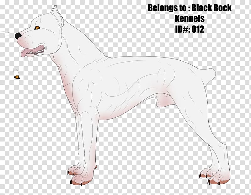 Dogo Argentino Cordoba Fighting Dog Old English Terrier Dog breed Guatemalan Dogo, others transparent background PNG clipart