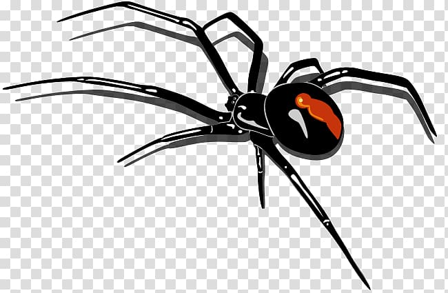 Redback Spider Cartoon Spider Transparent Background Png Clipart