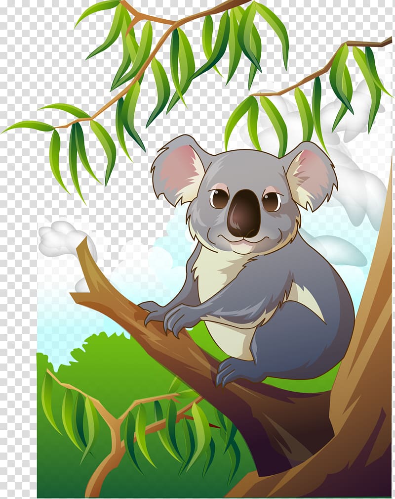 Koala , Lovely koala transparent background PNG clipart