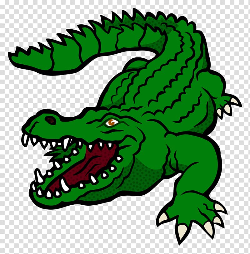 green crocodile , Nile crocodile Alligator Saltwater crocodile , crocodile transparent background PNG clipart