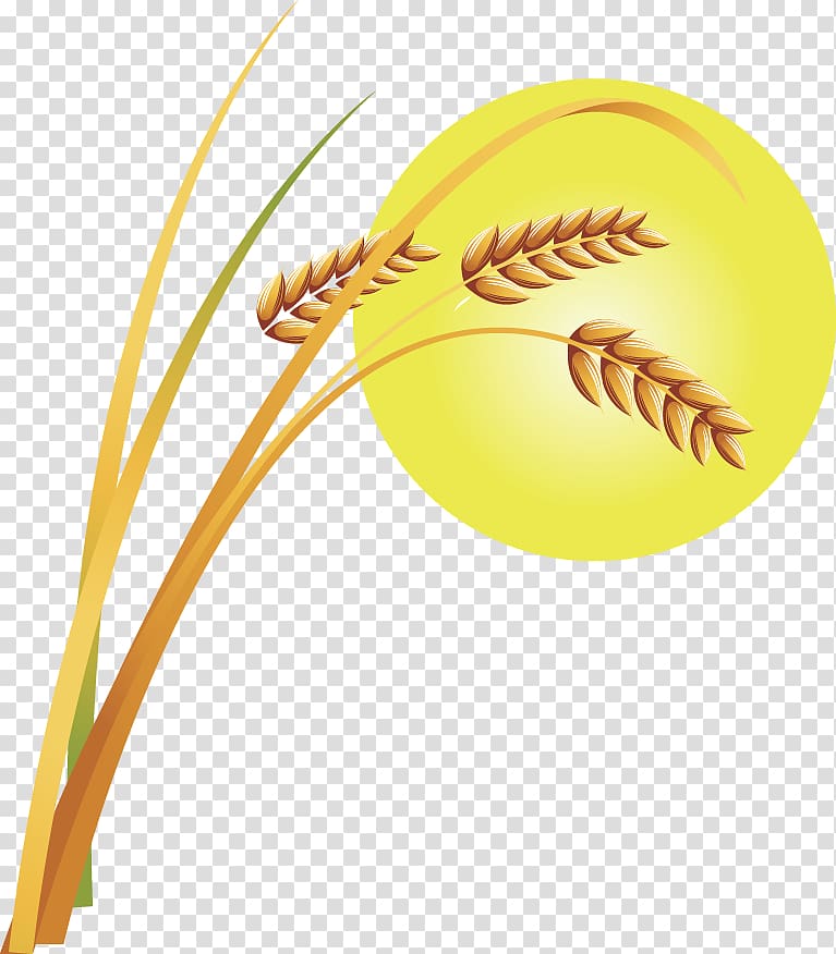 Grasses, painted golden wheat transparent background PNG clipart