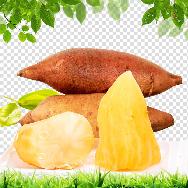 Leaf Computer file, Tianshan snow lotus fruit Free Free creative pull pull transparent background PNG clipart