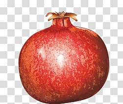 red pomegranate fruit, Pomegranate transparent background PNG clipart