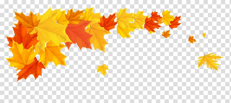 beige and red leaves , Autumn Desktop , leaves border transparent background PNG clipart