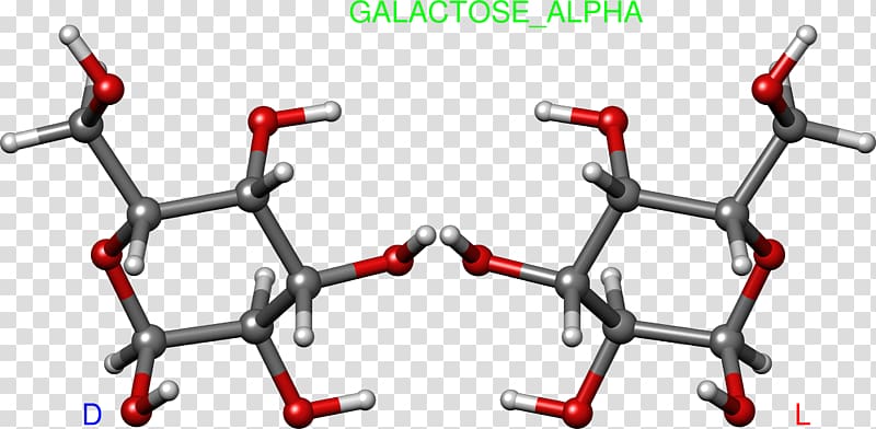 Galactose Gulose Carbohydrate Glucose Bicycle Handlebars, Galactose1phosphate Uridylyltransferase transparent background PNG clipart