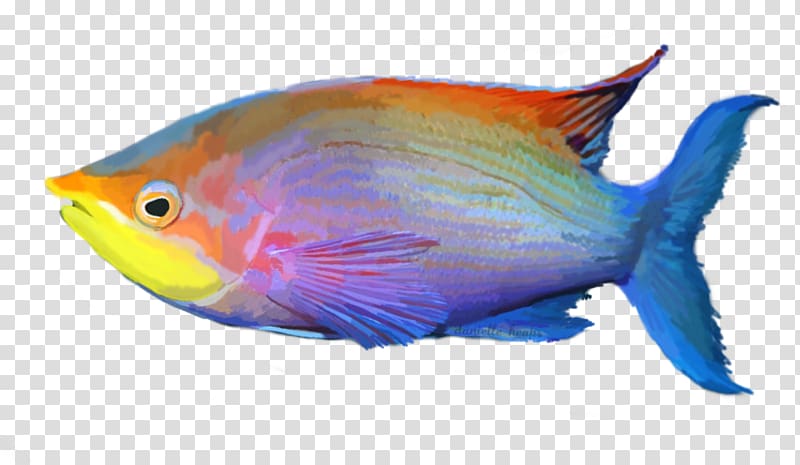 Tropical fish Aquariums, exotic transparent background PNG clipart