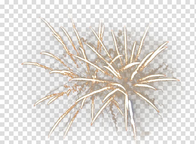 Wood Twig, Fireworks HD material transparent background PNG clipart