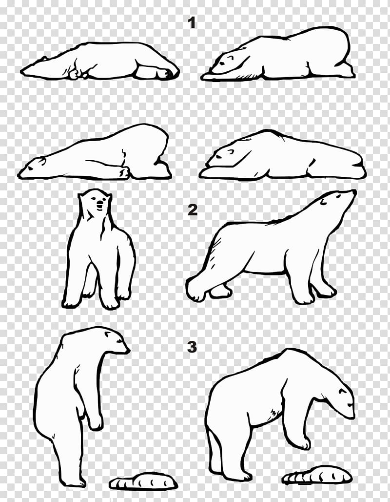 Polar bear Walrus Polar regions of Earth Arctic American black bear, pattern bear transparent background PNG clipart