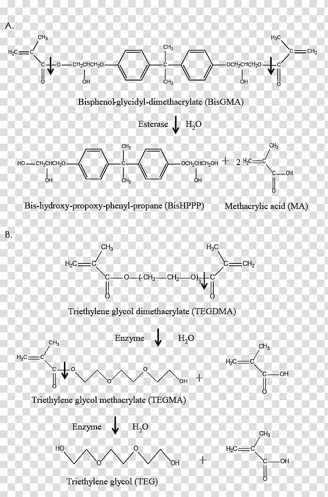 Dental composite Bis-GMA Dentistry Journal of the Canadian Dental Association Resin, BACTERIA TOOTH transparent background PNG clipart