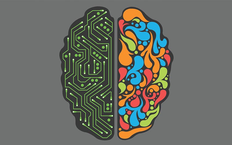 How Your Brain Works Computer programming Programmer Lateralization of brain function, Brain transparent background PNG clipart