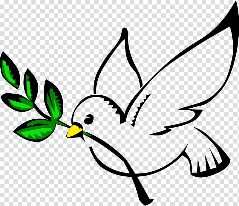 Columbidae Peace Doves as symbols , Pigeon transparent background PNG clipart