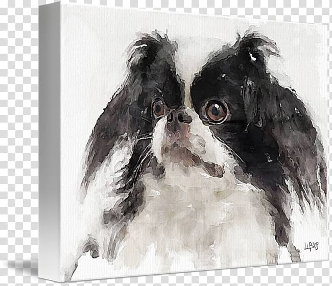 Japanese Chin Dog breed Companion dog Toy dog Breed group (dog), chin poster transparent background PNG clipart