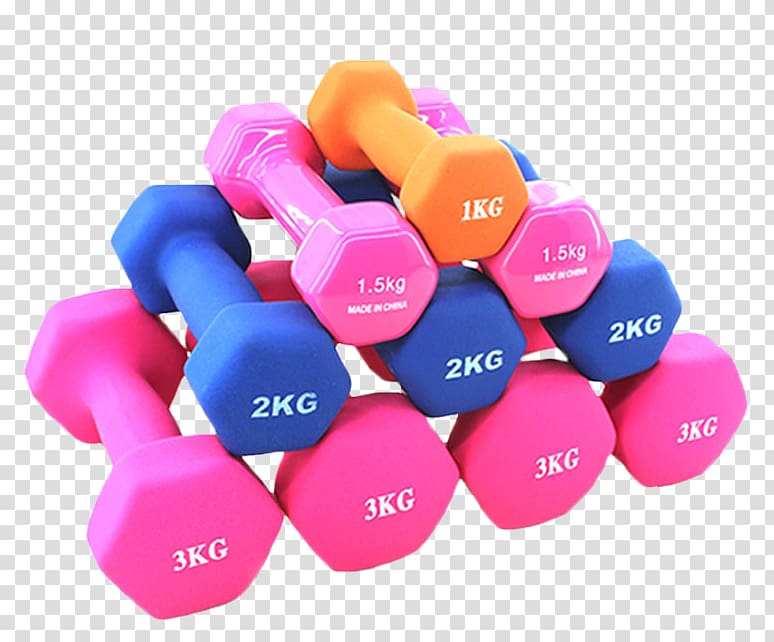 Dumbbell Physical fitness Weight training Exercise equipment Bodybuilding, Dumbbell transparent background PNG clipart
