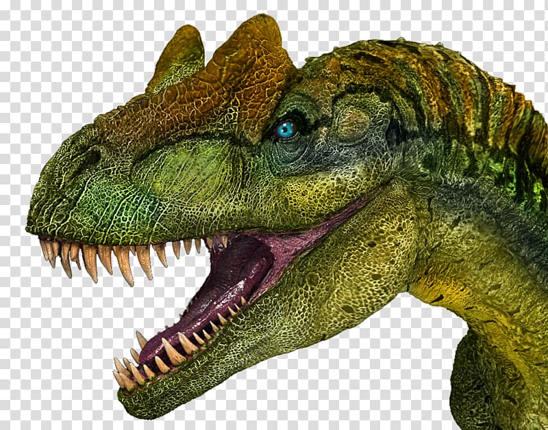 Allosaurus Tyrannosaurus Carnotaurus Dinosaur Ceratosaurus, dinosaur transparent background PNG clipart